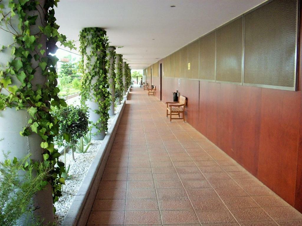 Goleta Almeria Apartment ภายนอก รูปภาพ